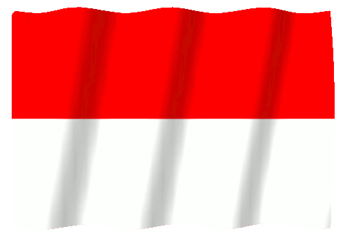 Indonesian Flag
